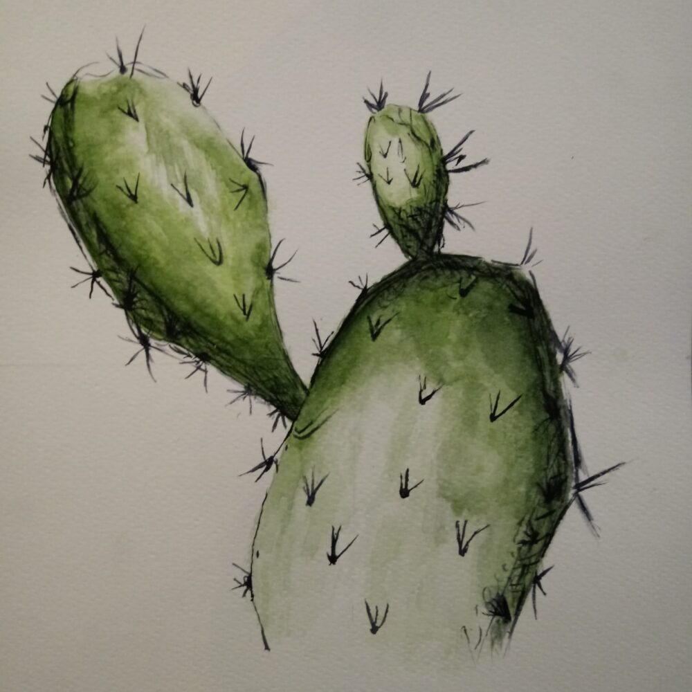 'Cactus'