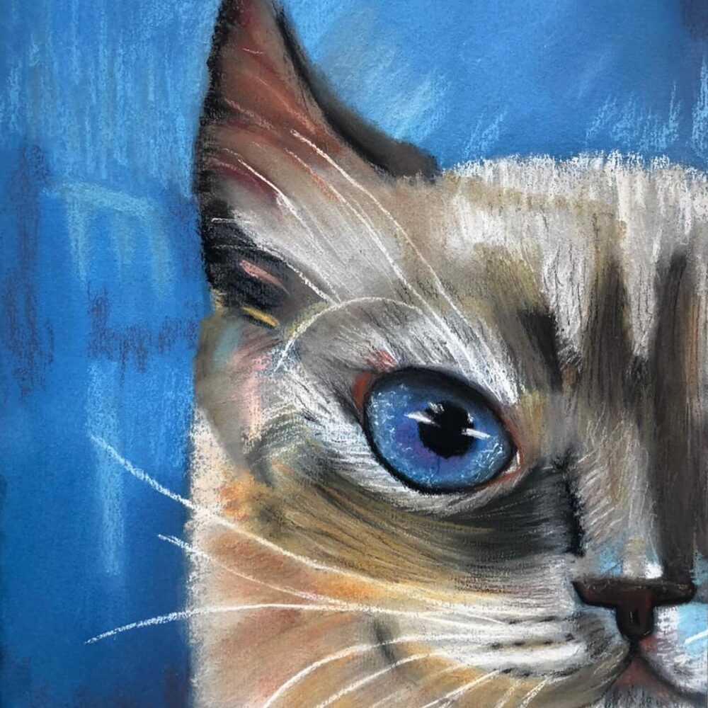 (d) Figüratif Konulu..