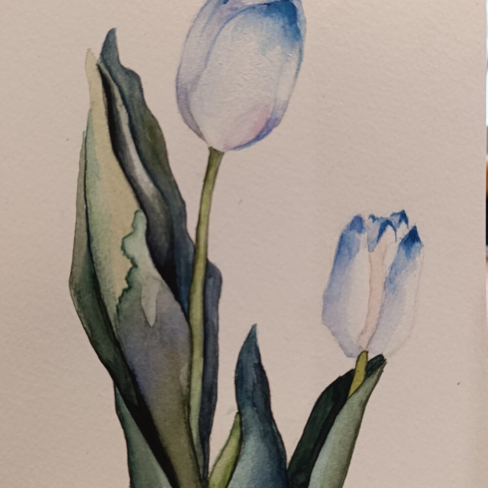 "Tulips"