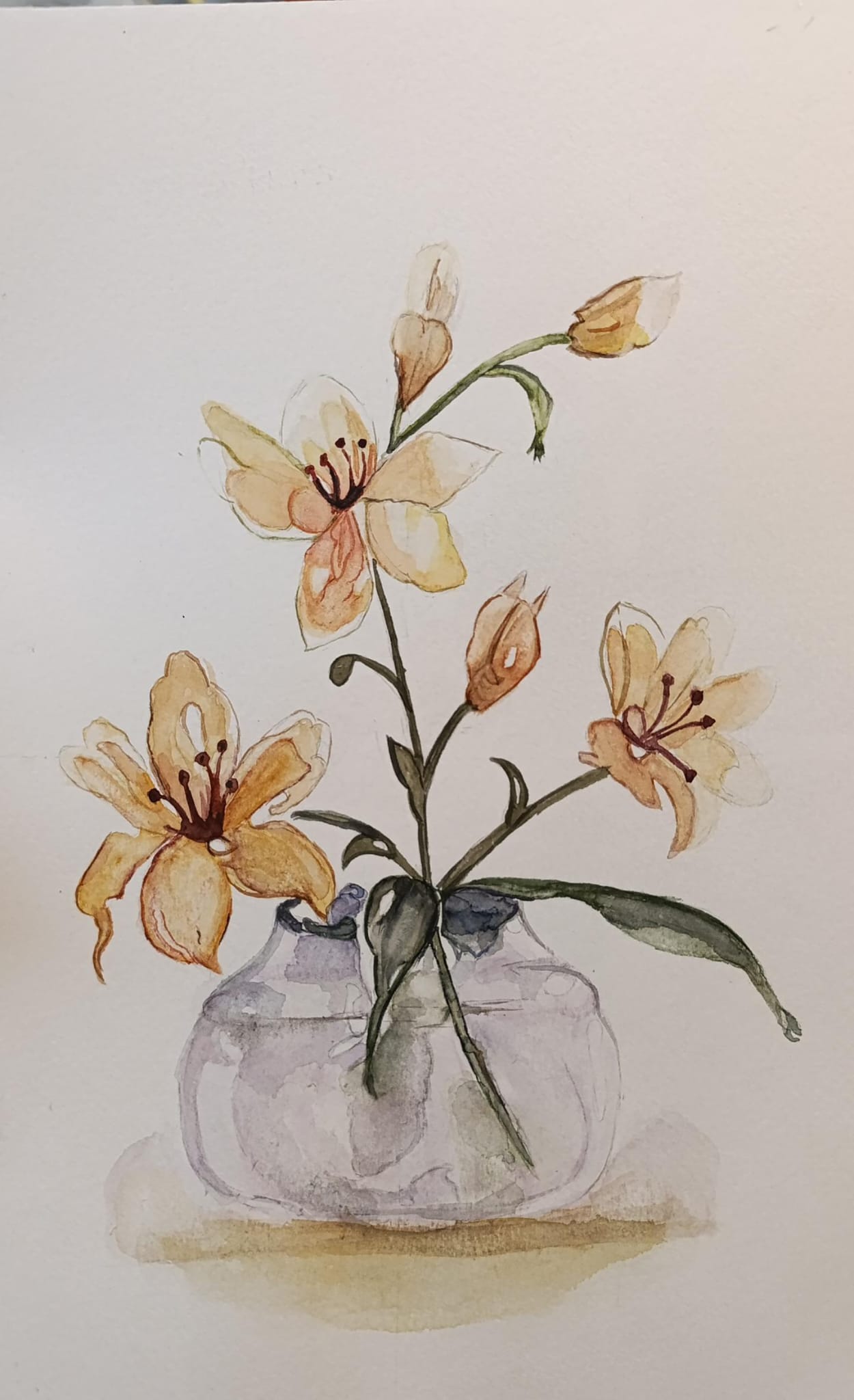 WhatsApp Image 2026-03-02 at 04.14.03