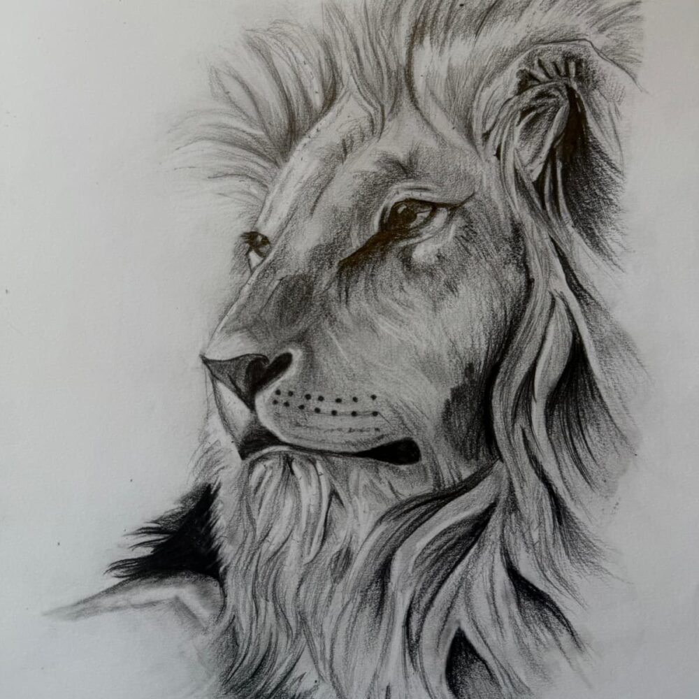 'Aslan'