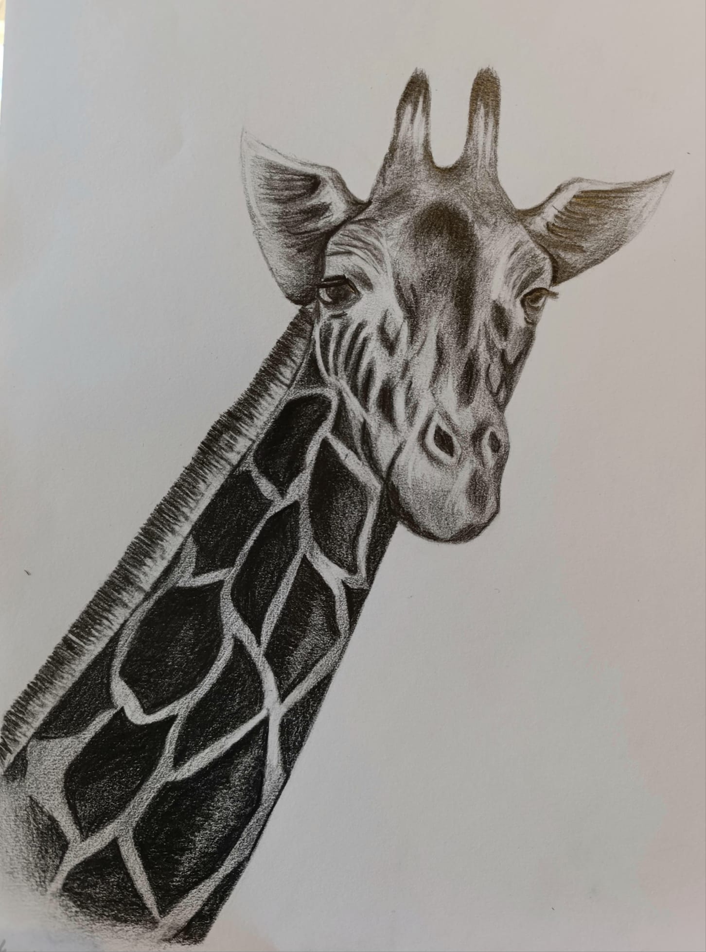 WhatsApp Image 2026-03-02 at 04.46.02