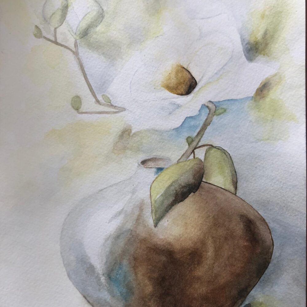 'The elegance of white'