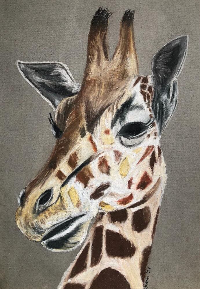 'Giraffe'
