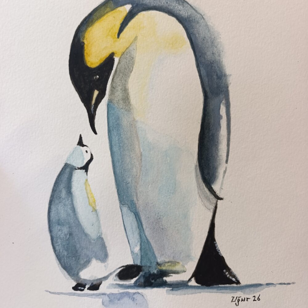 Penguenler